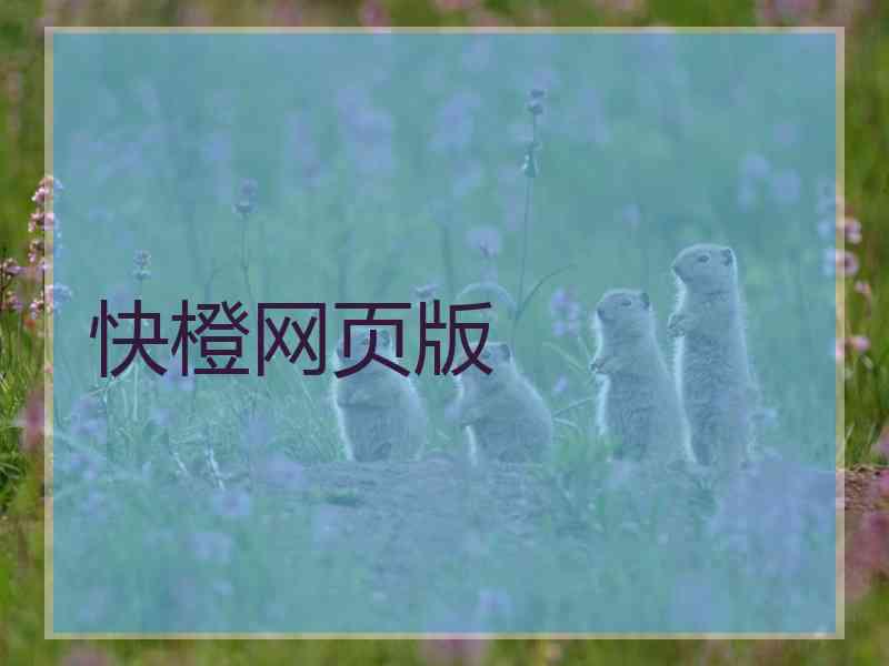 快橙网页版