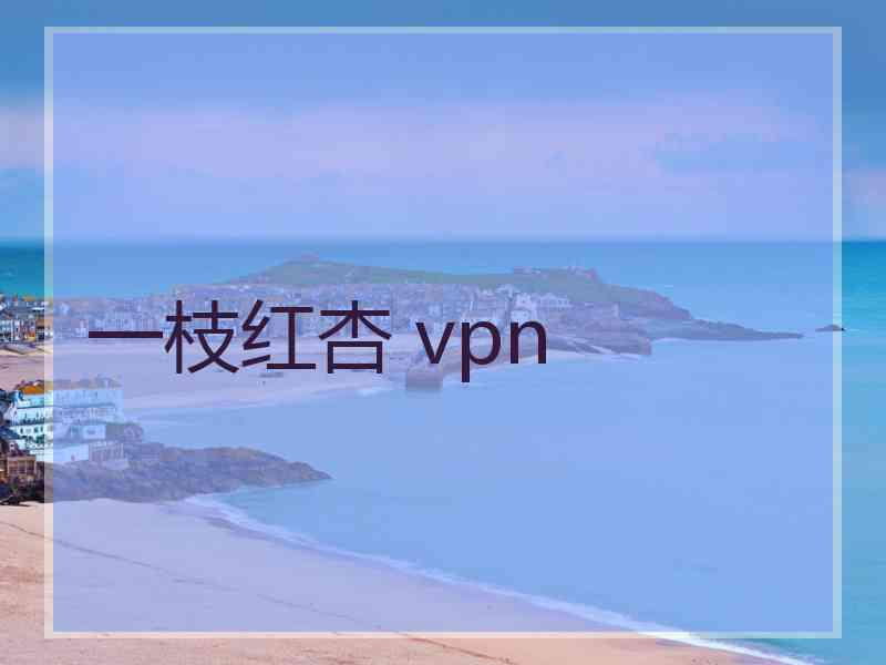 一枝红杏 vpn