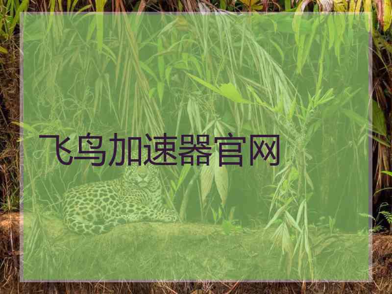 飞鸟加速器官网
