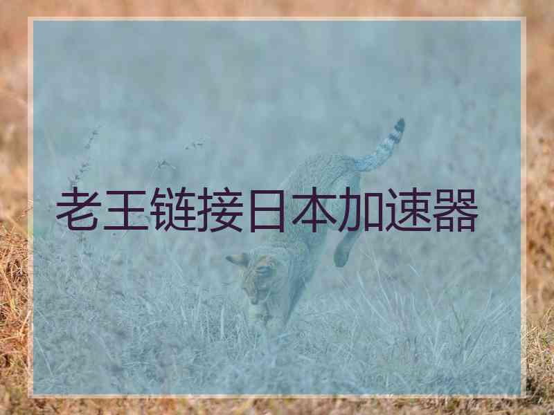 老王链接日本加速器