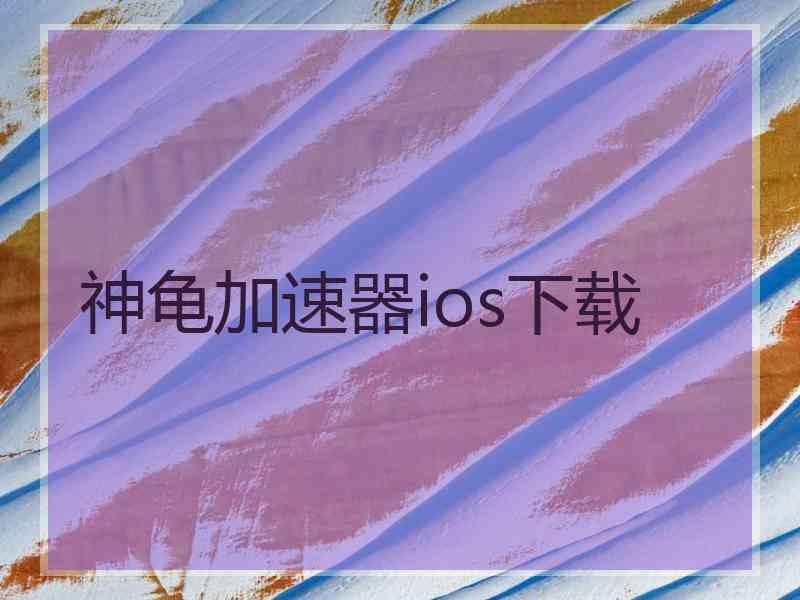神龟加速器ios下载