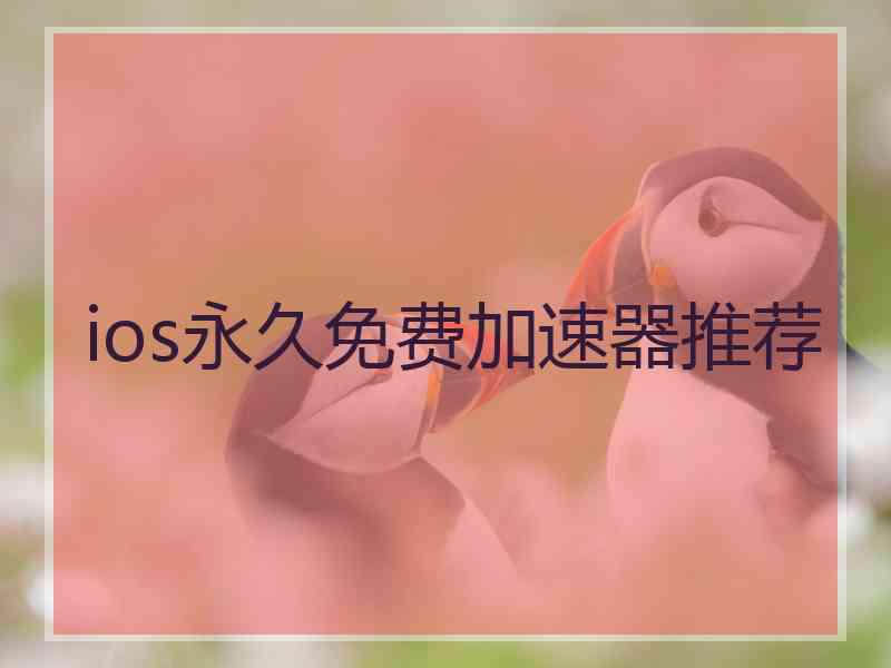 ios永久免费加速器推荐