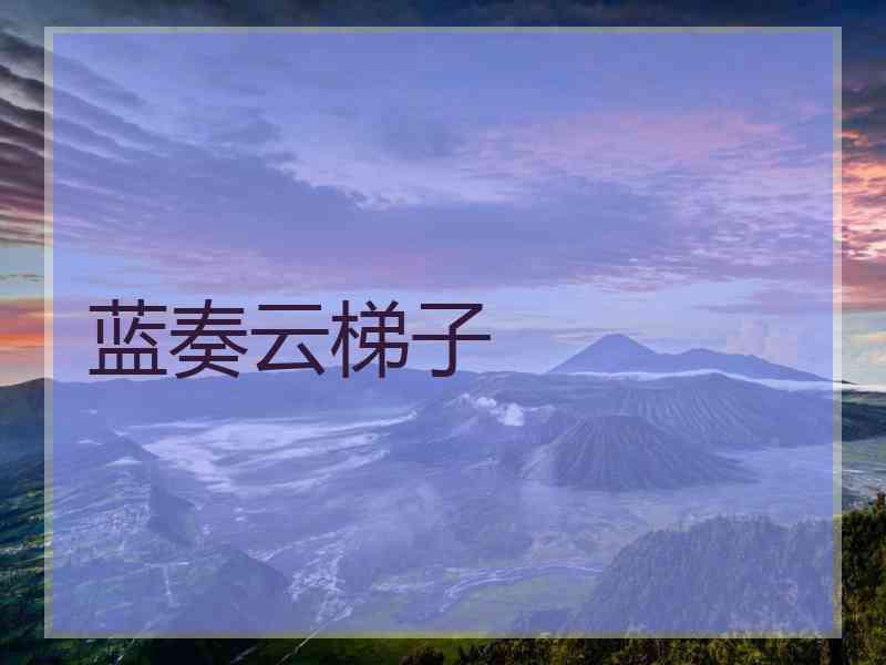蓝奏云梯子