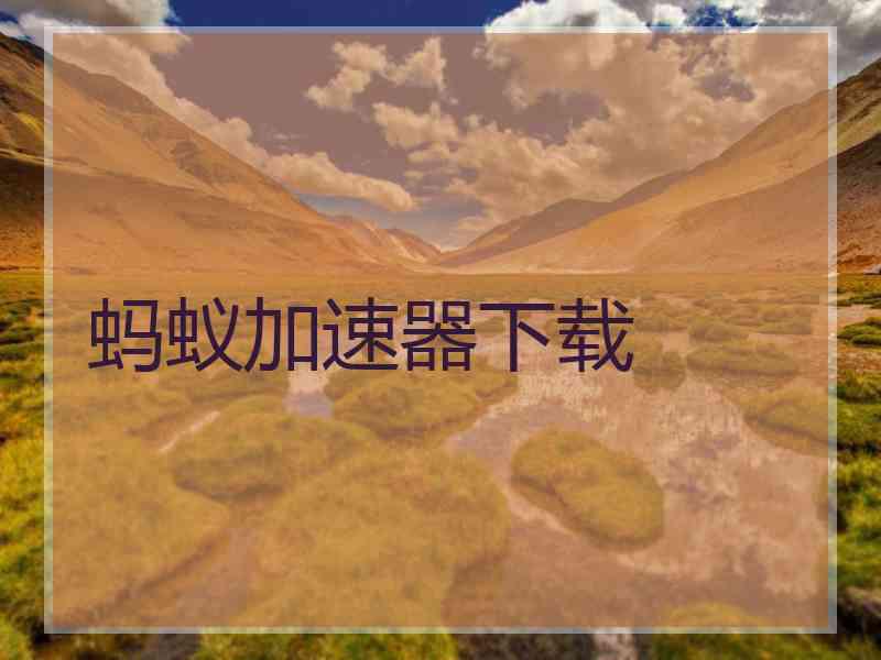 蚂蚁加速器下载