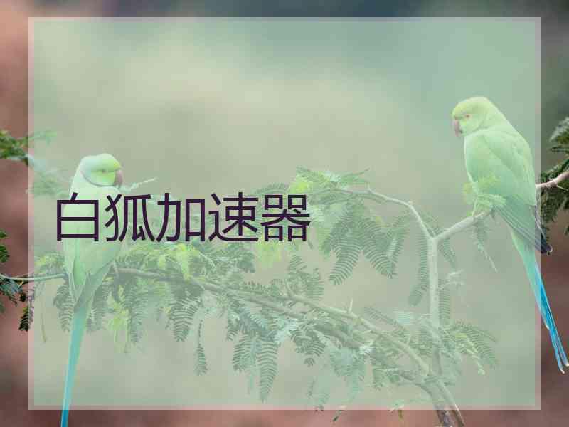 白狐加速器