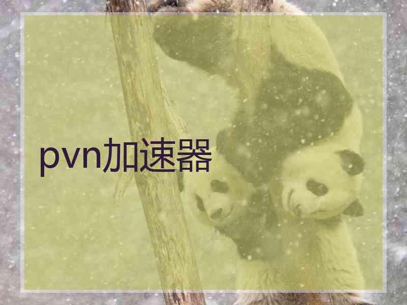 pvn加速器