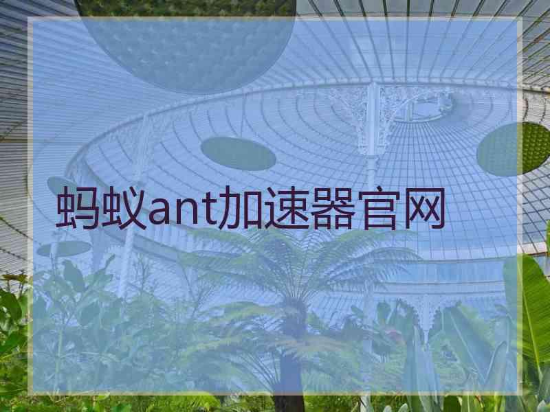 蚂蚁ant加速器官网