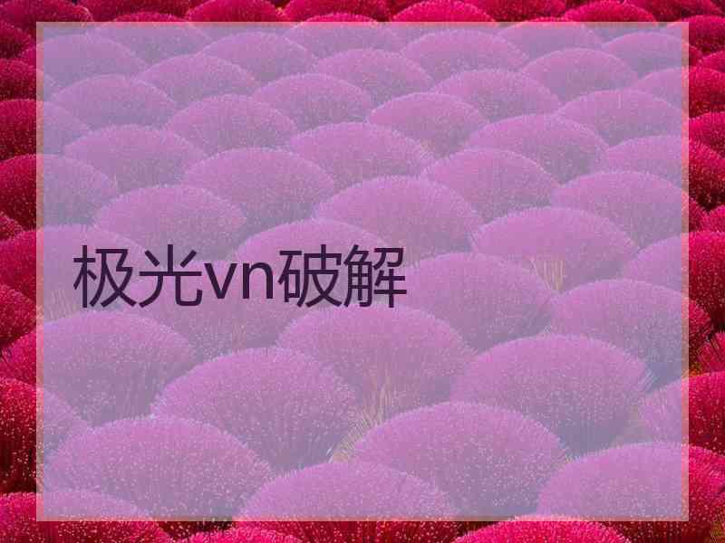极光vn破解