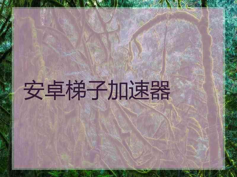 安卓梯子加速器
