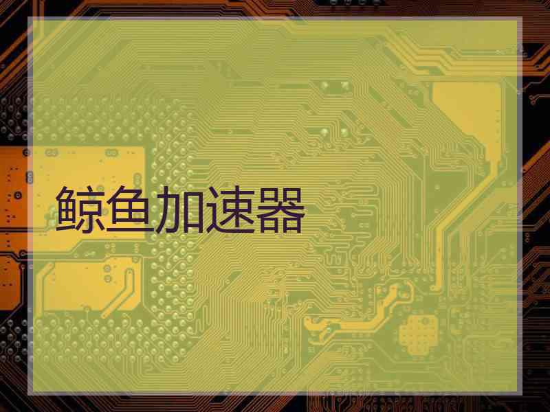 鲸鱼加速器