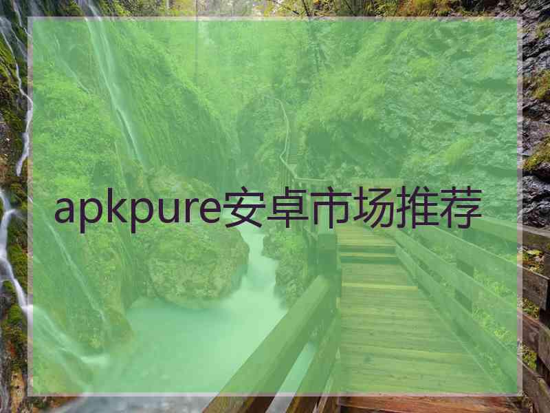 apkpure安卓市场推荐